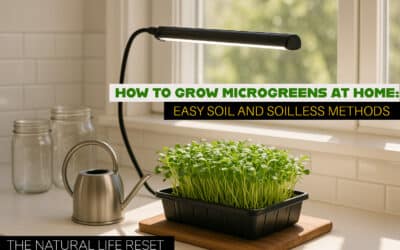How to Grow Microgreens at Home